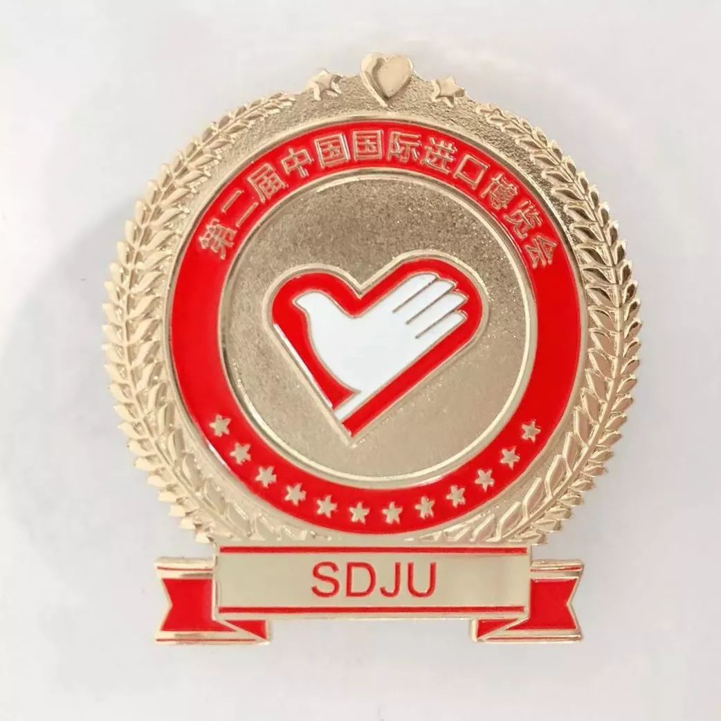 进博会小叶子徽章,进博会小叶子完整视频