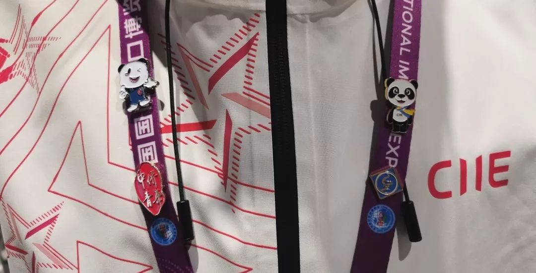 进博会小叶子徽章,进博会小叶子完整视频