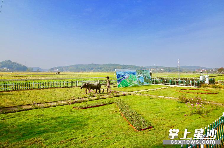 乡村振兴工作取得新进展新成效,乡村振兴考核取得优异成绩