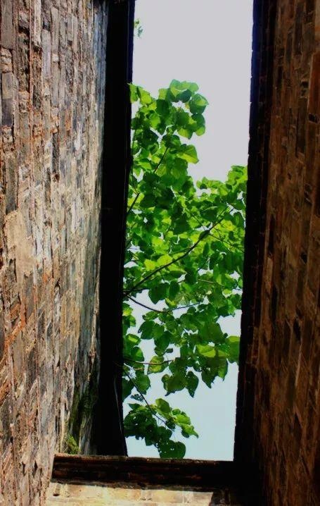 益阳明清古城最新视频,益阳古城和明清古城