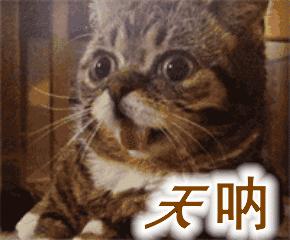 你用一周刷完《庆余年》,学霸却用10天拿下名校:沃顿哥大顶尖活动来袭