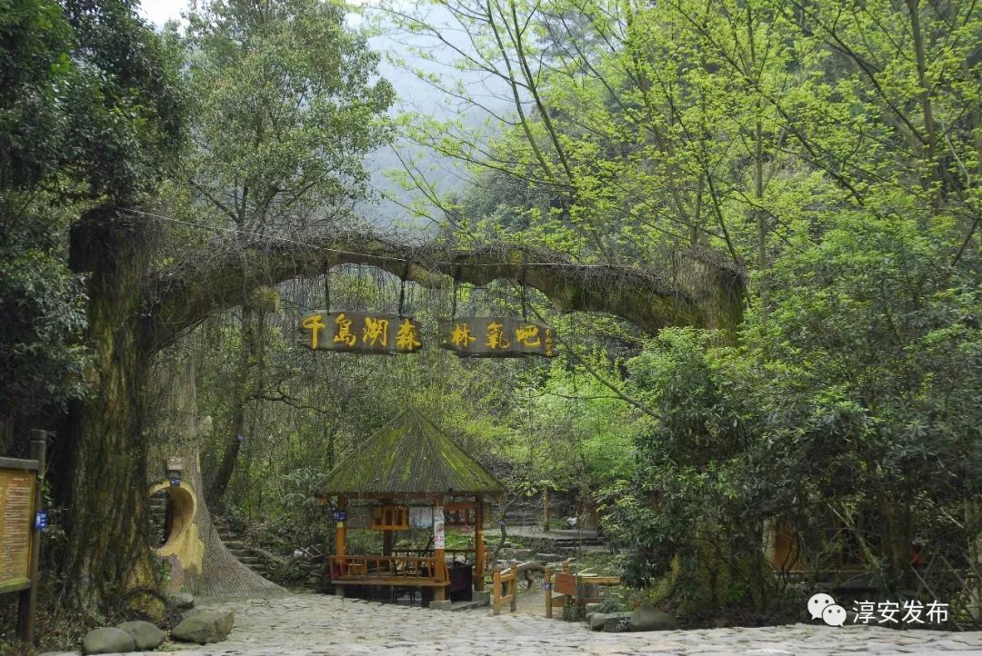 30年前的千岛湖是什么样的,曾经被污染的千岛湖