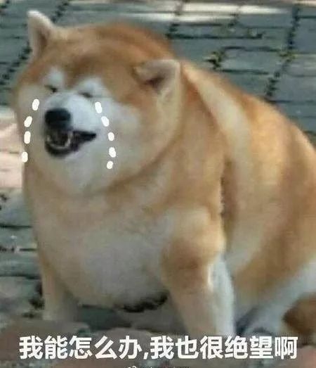 17款无糖奶茶测评,奶茶测评各个奶茶好喝单品