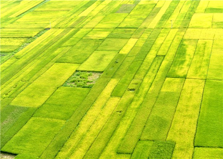 曹振华富源,富源金城路曹振华
