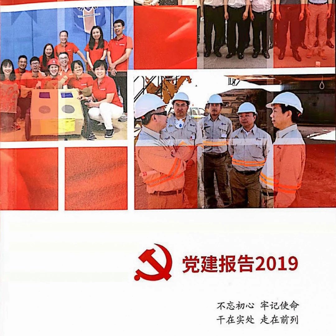 奥信发展公司*党**委发布《*党**建报告2019》