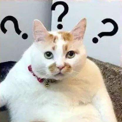 雪地代写订单,代写雪地表白