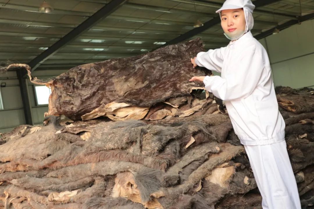 42宀佸ぇs淇濆吇绉樿瘈,43宀佺殑澶鎬庝箞淇濆吇