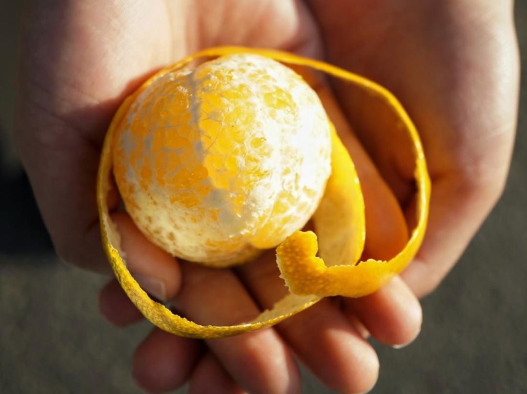 认识下广东人从小吃到大的宝藏水果，像冬季里清甜的山泉
