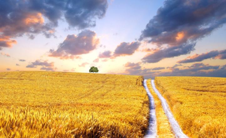 中国最有意思的十首诗,一个字标题的10首诗依然流传千古