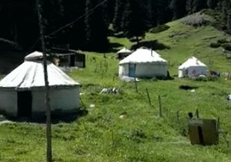 趣读丨我花三块钱买了朋友圈人设服务,然后我的人设崩了…