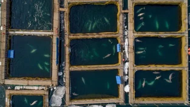 科技爱好者周刊,科技爱好者综艺