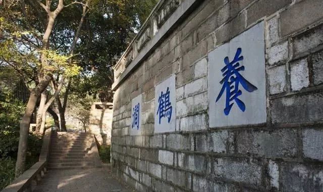 趣读丨旧时苏州人「养宠物」极简史，不只是吸猫遛狗