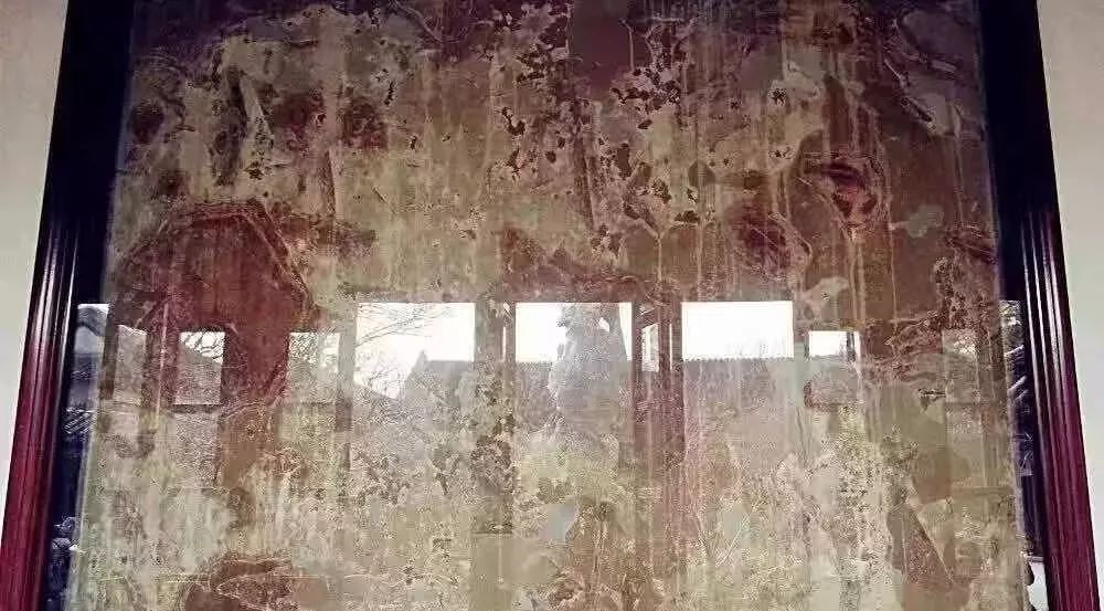 趣读丨旧时苏州人「养宠物」极简史，不只是吸猫遛狗