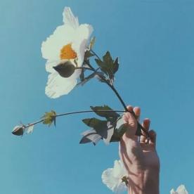 100首顶级经典纯音乐歌单,三首最顶级史诗级配乐