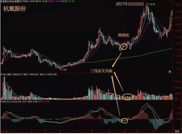 巴菲特点醒中国股民:下次牛市来临前,能不能保住本金才是关键问题,中年人如何保护自己的资产不缩水?
