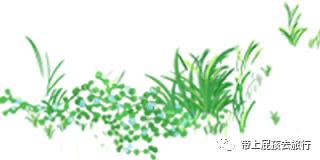 看着很low但用起来真香的老国货,经典老牌宝藏国货