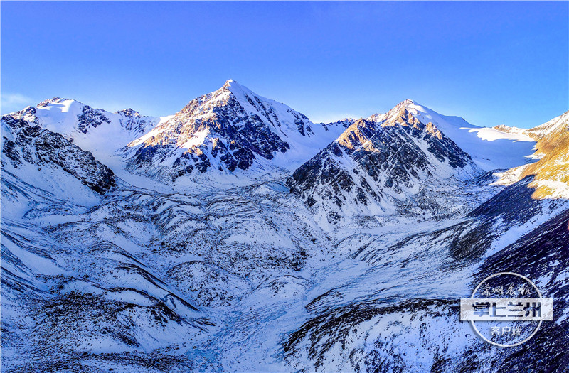 兰州市任我行,兰州任我行现状