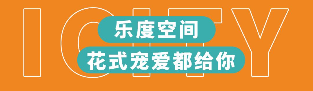 五折特价秒杀,五折低价秒杀