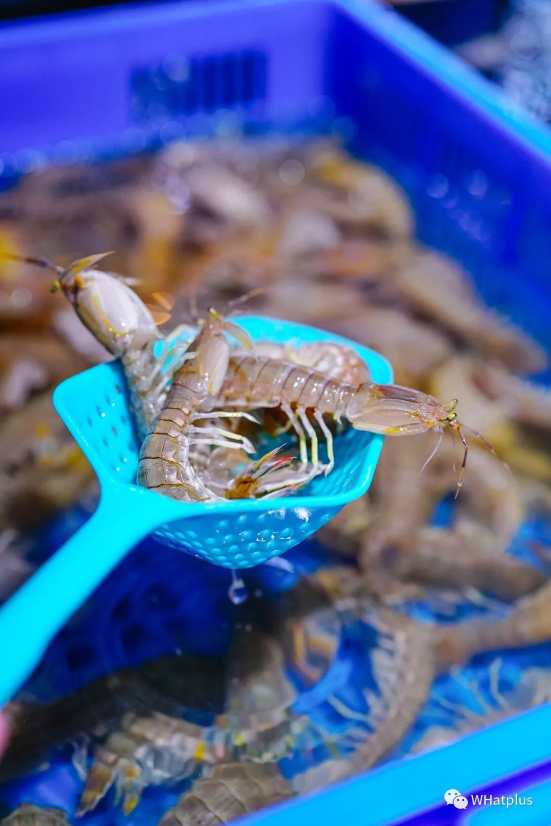 老年人才*淘宝刷**，年轻人都去逛超市了