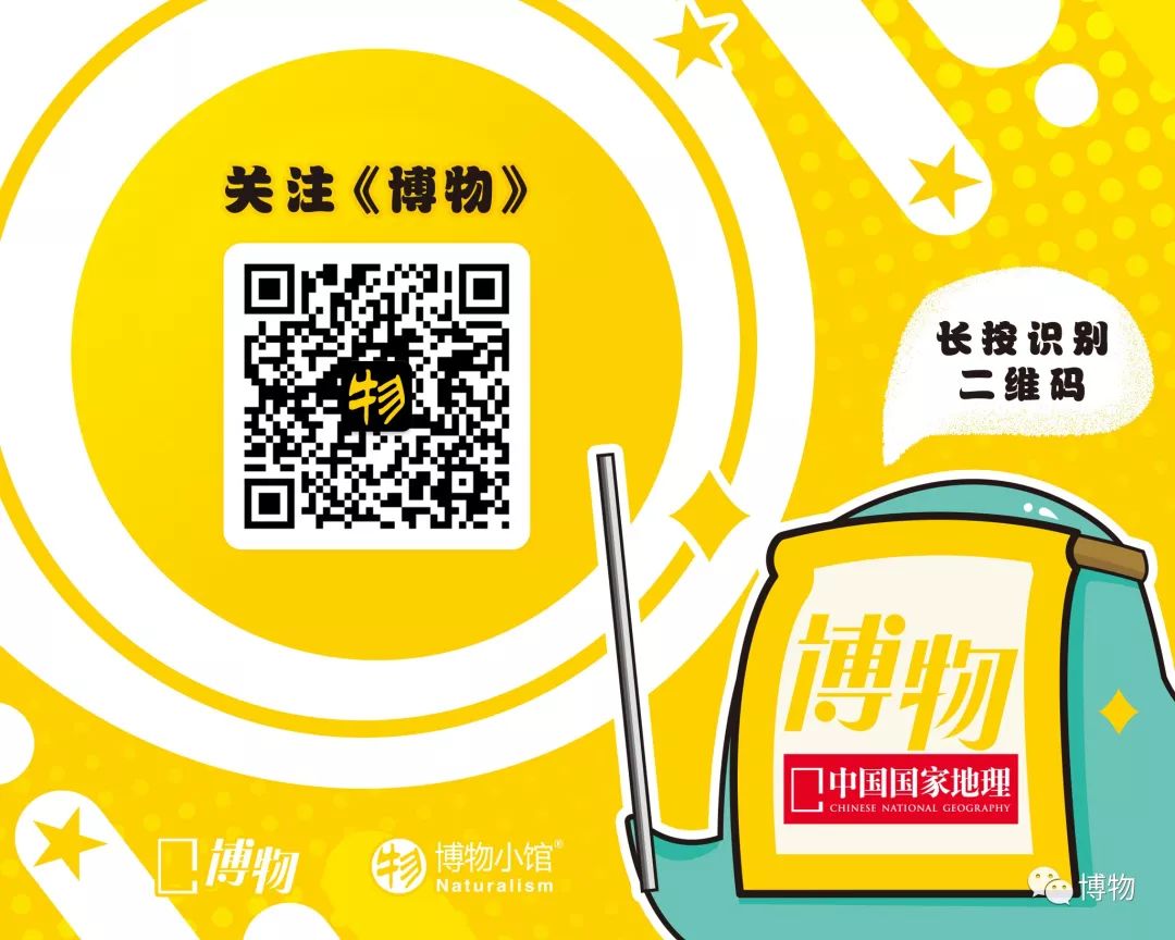 有深度的个人微信公众号,微信里必备的几个公众号