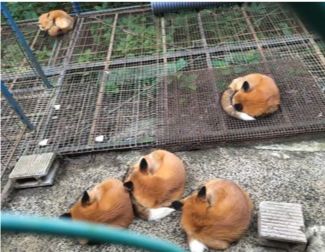 这张图非常火，网友留言说：这个星星就不知道把板凳往前挪一挪吗