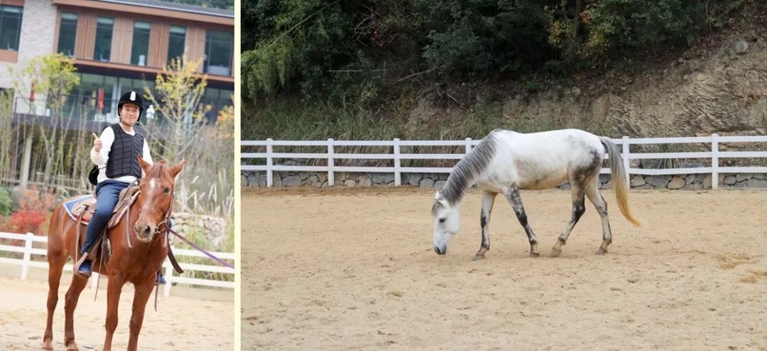 新昌安岚山居酒店,温泉入户竹林山居