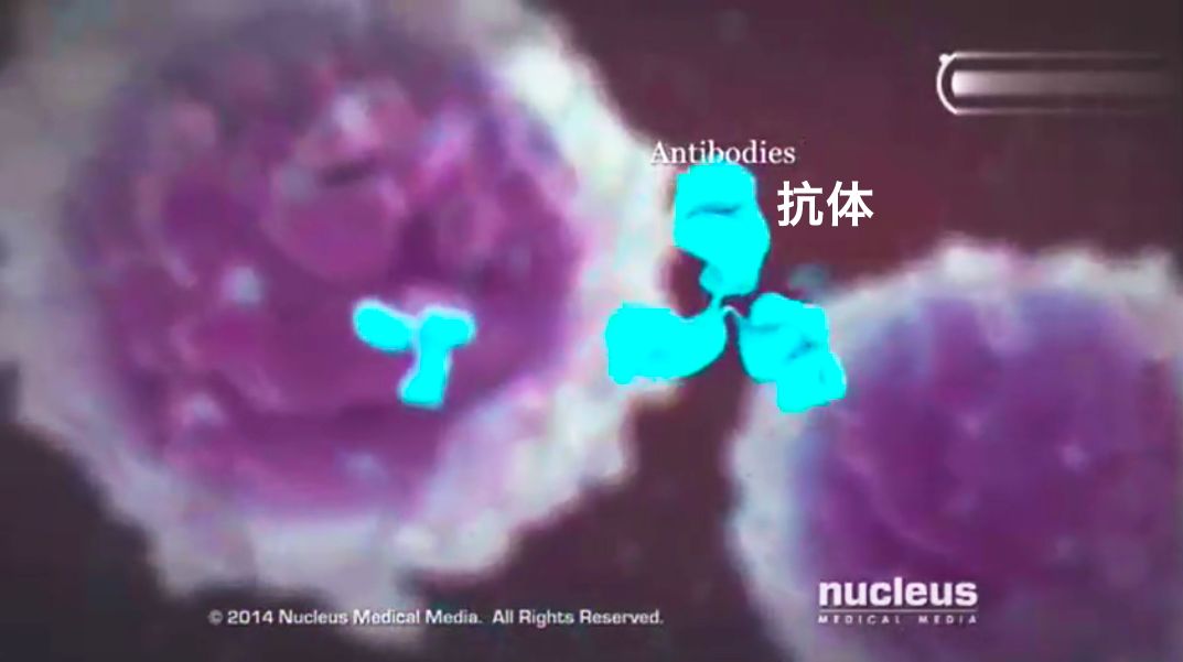 谈艾色变什么意思,谈艾色变怎么宣传