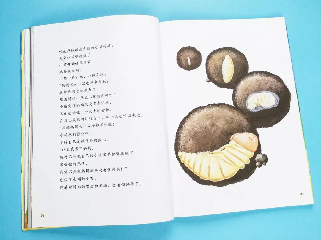 成长必读法布尔昆虫记,法布尔昆虫记书分享