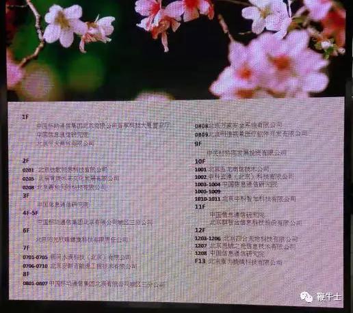 暴风集团破产原因,暴风退市公司名单