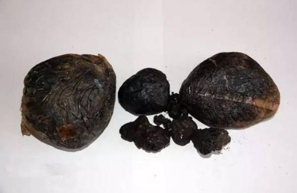 吸毒亚文化对社会的危害,吸毒的由来