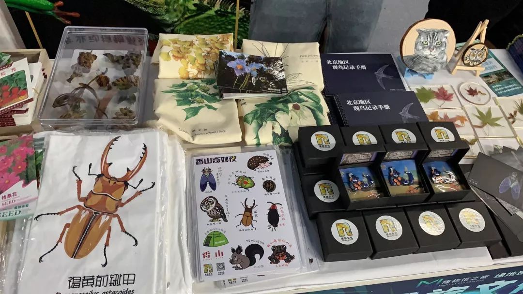 劲草嘉年华最新视频,2023年劲草嘉年华