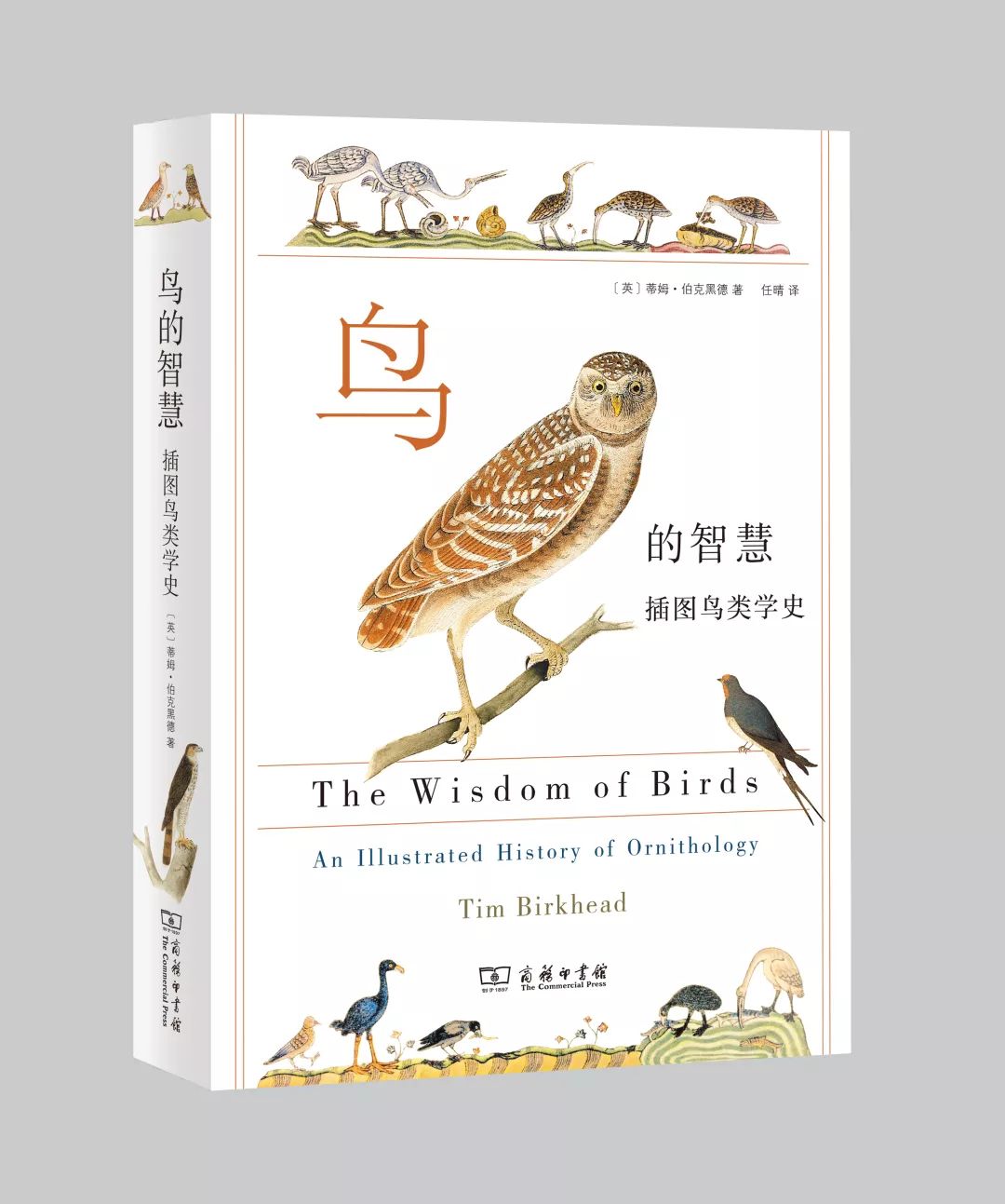 劲草嘉年华最新视频,2023年劲草嘉年华