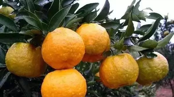 泉州的人间仙境,一秒就沦陷陆沉