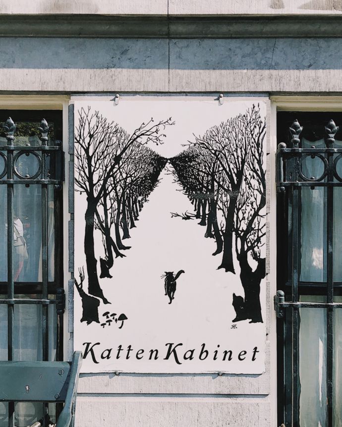 各种猫咪的博物馆,猫咪博物馆都有哪些猫