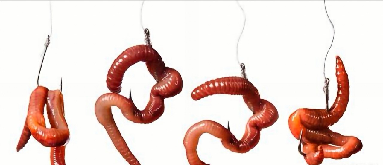 传统钓轻装上阵,传统钓装备怎么做到轻松又舒服