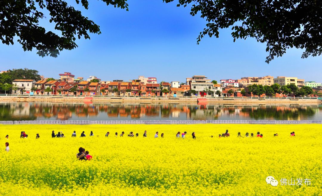 鎴戠埍鎴戝浣涘北,鎴戠殑鑰佸浣涘北