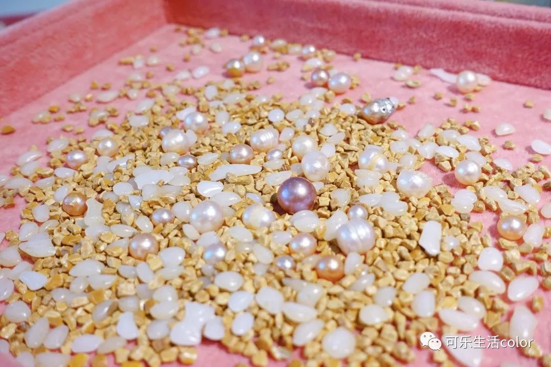 鲜活蚌珍珠探店,珍蚌开蚌珍珠diy体验馆从化