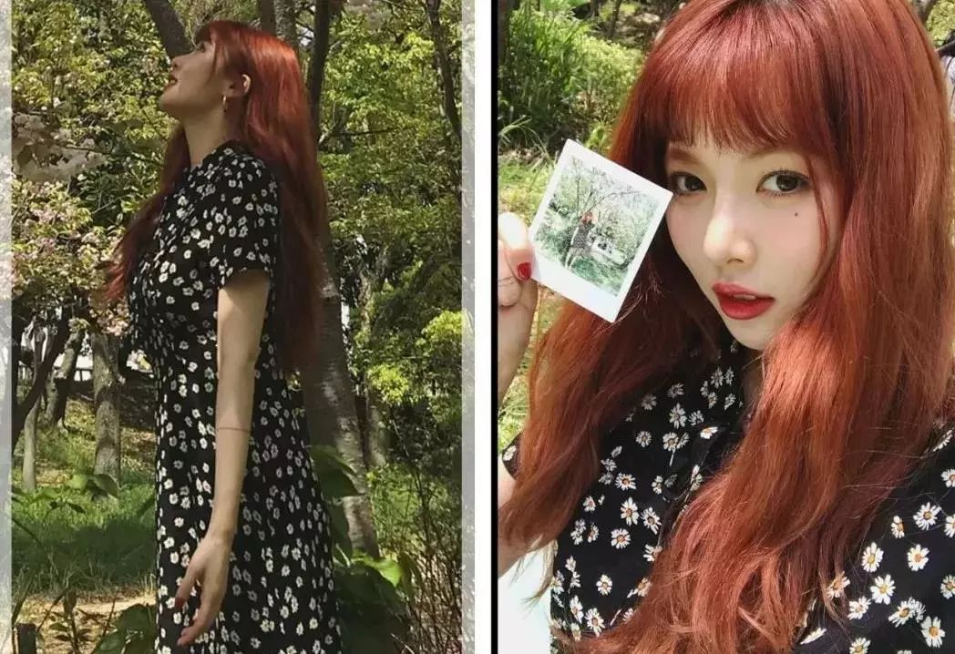 权志龙喜欢的雏菊是什么雏菊,权志龙的小雏菊为什么少一半