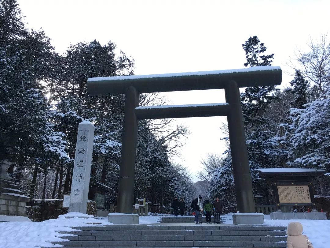 游记雪野湖作文,北海道游记