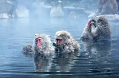 哪里泡天然温泉,泡个不一样的天然温泉