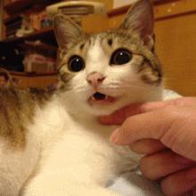 科普不可思议视频,经常走神发呆是怎么回事