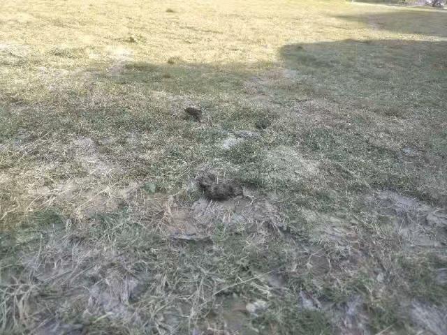 新城轨本月开通！中山人去珠海长隆和澳门将更方便|中山一周