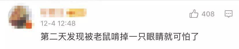 切出40000块面包丁玩拼图，无聊吃货的最高境界？甚至鸽子粪都不放过？