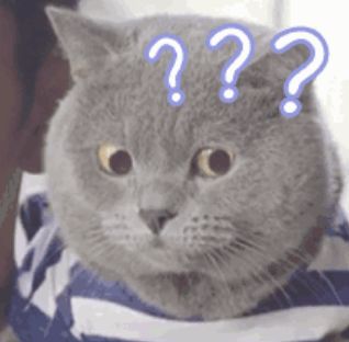 海底龟煲汤功效,海底龟煲汤