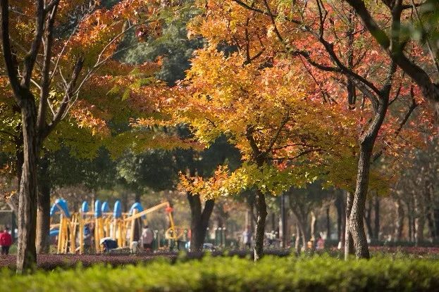 义乌十大网红打卡地,义乌网红打卡小镇