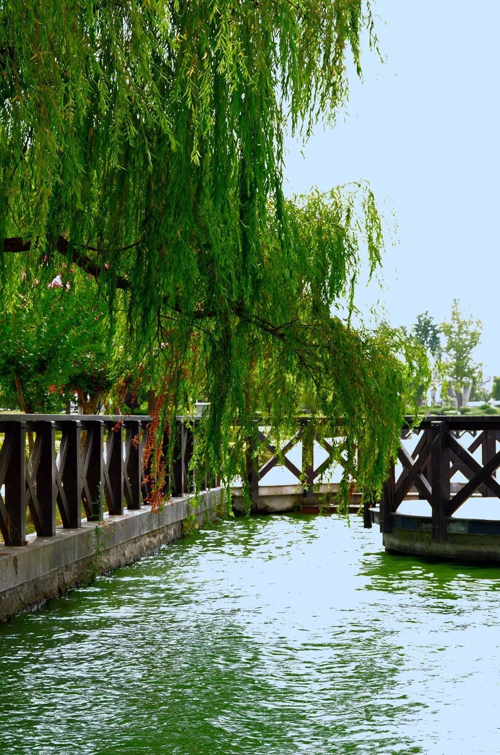 上海地铁可直达6个古镇,从上海到江南六个水乡古镇