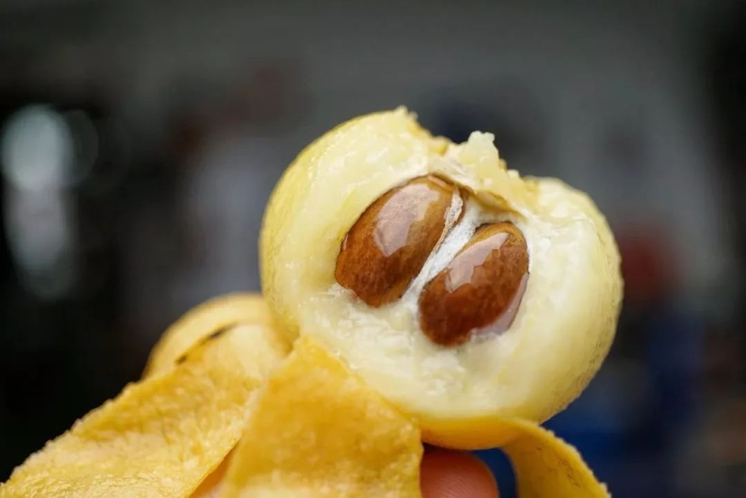 向大学蜂蜜研究所定制了一罐枇杷冬蜜，甜甜润润杏仁香