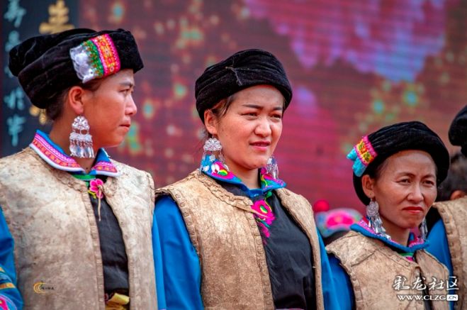 彝族漫山遍野的索玛花,索玛花盛开在高高的彝山