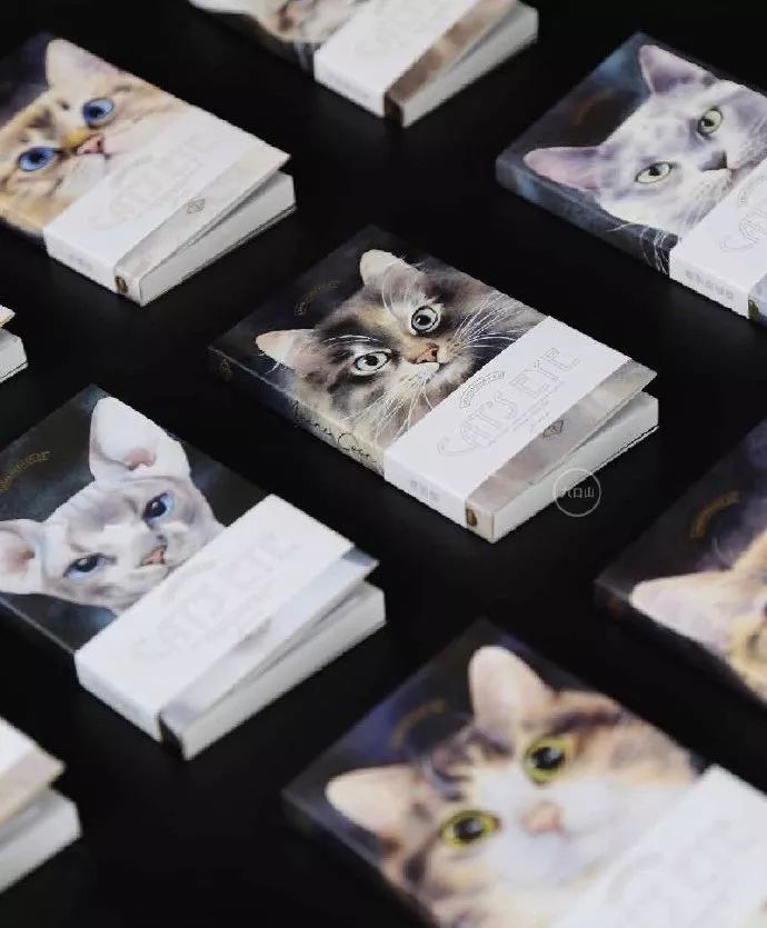 霓虹国排名,霓虹最好用的套装