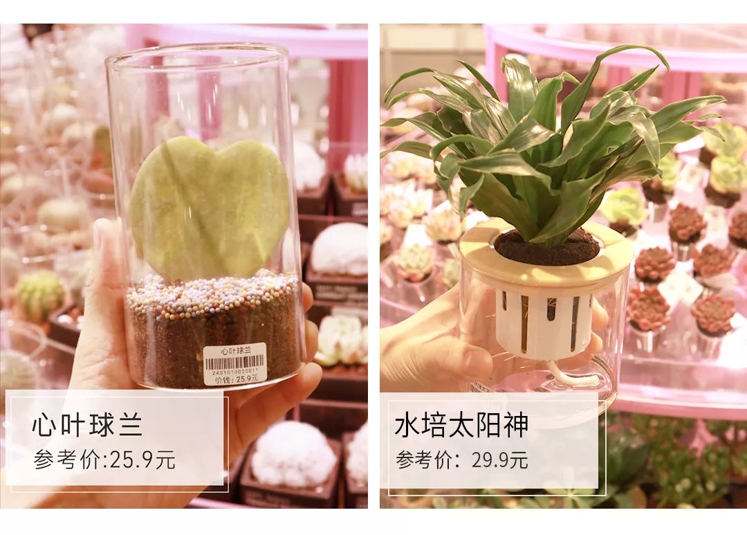 为什么口红官网比代购便宜,代购口红比官网便宜